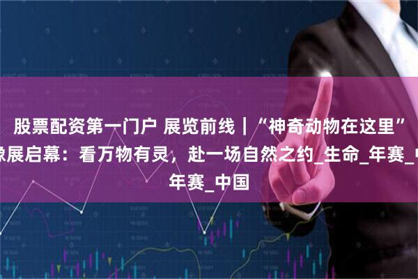 股票配资第一门户 展览前线｜“神奇动物在这里”影像展启幕：看万物有灵，赴一场自然之约_生命_年赛_中国